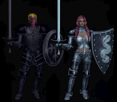 Datei:Class paladin.png