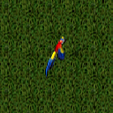 Datei:Parrot.png