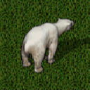 Datei:Polar bear.png