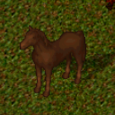 Datei:Mustang chocolate.png