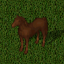 Datei:Mustang roan.png