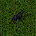 Datei:Panther.png