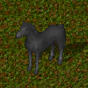 Datei:Mustang grey.png