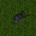 Datei:Dire wolf.png