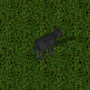 Datei:Grey wolf.png