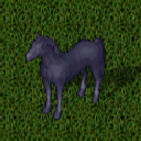 Datei:Mustang sky.png