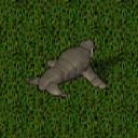 Datei:Walrus.png