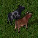 Datei:Bull.png