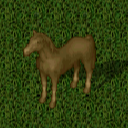 Datei:Mustang palamino.png