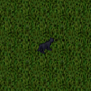 Datei:Black cat.png