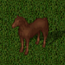 Datei:Mustang willimate.png