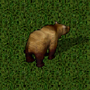 Datei:Grizzly bear.png