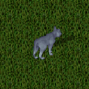Datei:White wolf.png