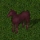 Datei:Mustang redroan.png