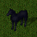 Datei:Mustang black.png