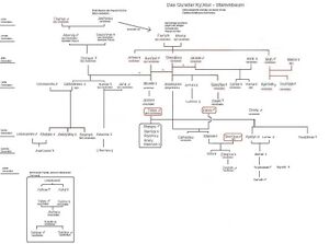 Stammbaum.JPG