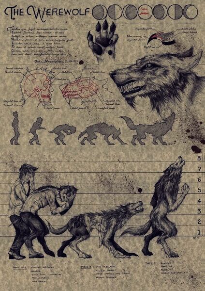 Datei:Race lykanthrop.jpg